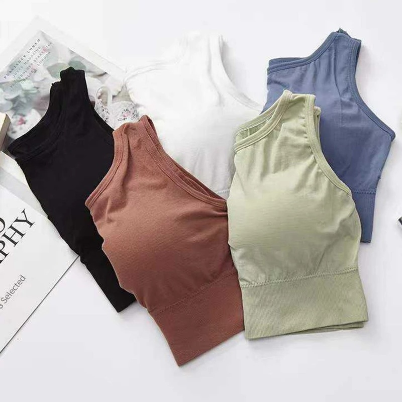 Áo Ngực Thể Thao Có Đệm Nâng Ngực Cho Nữ