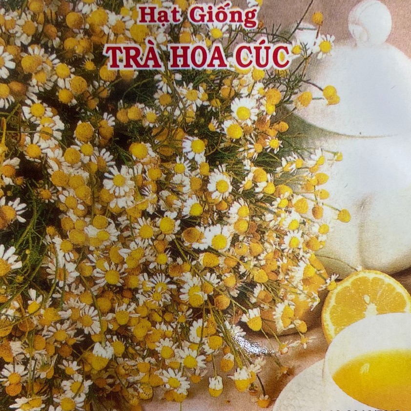 Hạt Giống Hoa Trà Hoa Cúc 1gr