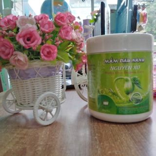 Mầm đậu nành nguyên xơ Hồng Hoa