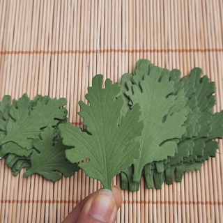 Lá hoa cúc giả, giấy