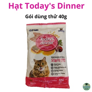 Thức ăn hạt cho mèo mọi lứa tuổi Today's Dinner gói dùng thử 40g