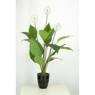 Cây giả - cây lan ý giả cao 90cm