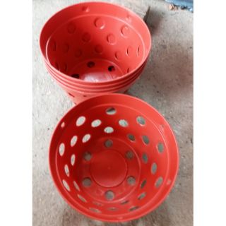 Chậu trồng lan phi 20cm x13cm