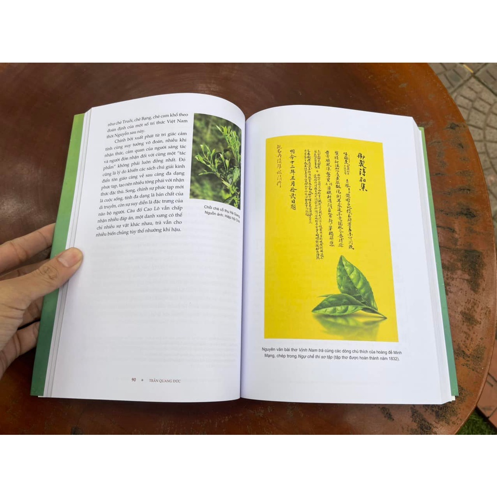 Sách - Chuyện Trà - Trần Quang Đức - Bình Book - Bìa mềm