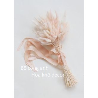 ❤Hoa cỏ đuôi thỏ (bunny tails)❤_ Decor trang trí nhà cửa_Cắm hoa phong cách vintage