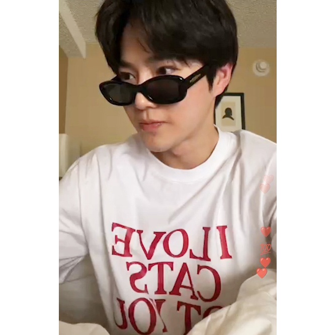 Áo thun I Love Cats Not You giống Na Jaemin, Suho