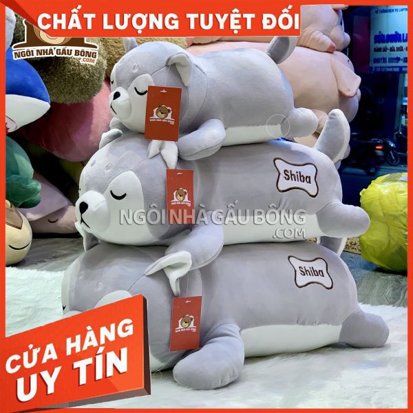 Chó Shiba Ngủ Xám