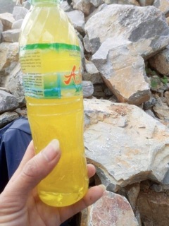 Mật ong Bạc Hà