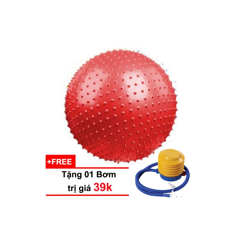 Bóng Yoga Gai 75cm  FEIERDUN-BG75