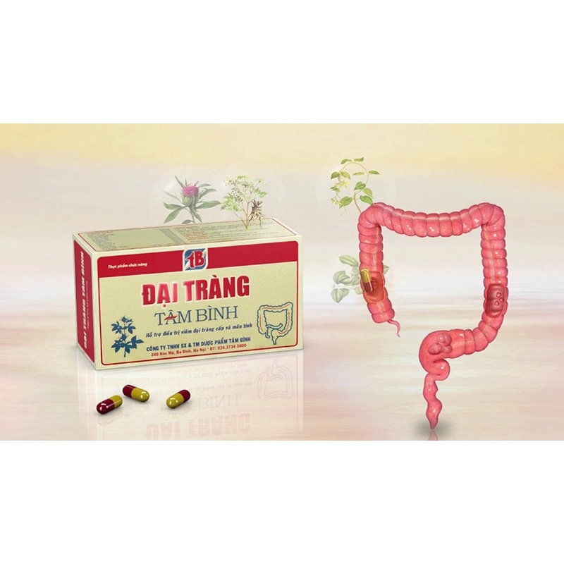 Đại Tràng Tâm Bình (Hộp 60 viên) - Xua tan nỗi lo viêm đại tràng, đầy hơi, khó tiêu, tiêu chảy.