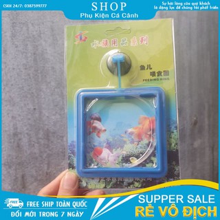 Vòng giữ thức ăn cho cá - Xả kho