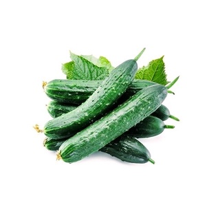 Hạt giống dưa chuột Gherkin 20h