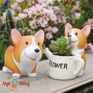 Chậu Trồng Cây Sen Đá Xương Rồng Cây Mini Để Bàn Hình Chú Chó Corgi Dễ Thương