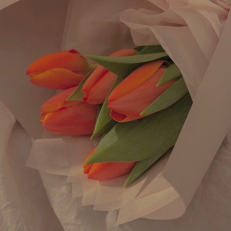 Tulip màu cam | Ship hỏa tốc| Hoa tươi Gi.farm