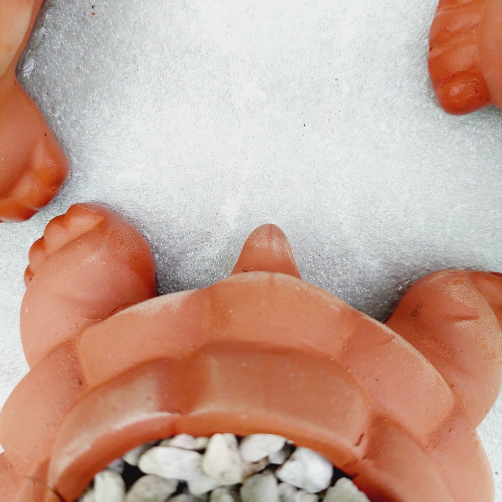 Chậu đất nung, Chậu sen đá - Con rùa, miệng chậu 8cm, chiều cao 6cm