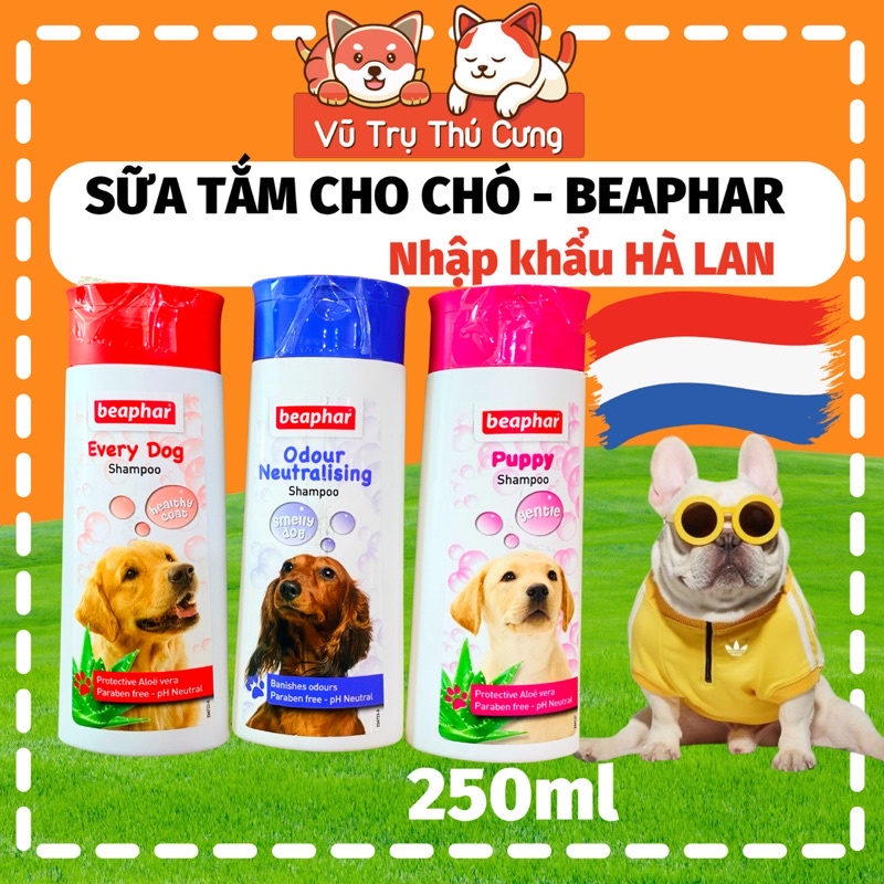 Sữa tắm khử mùi hôi, mượt lông Dành cho chó Beaphar Hà Lan 250ml