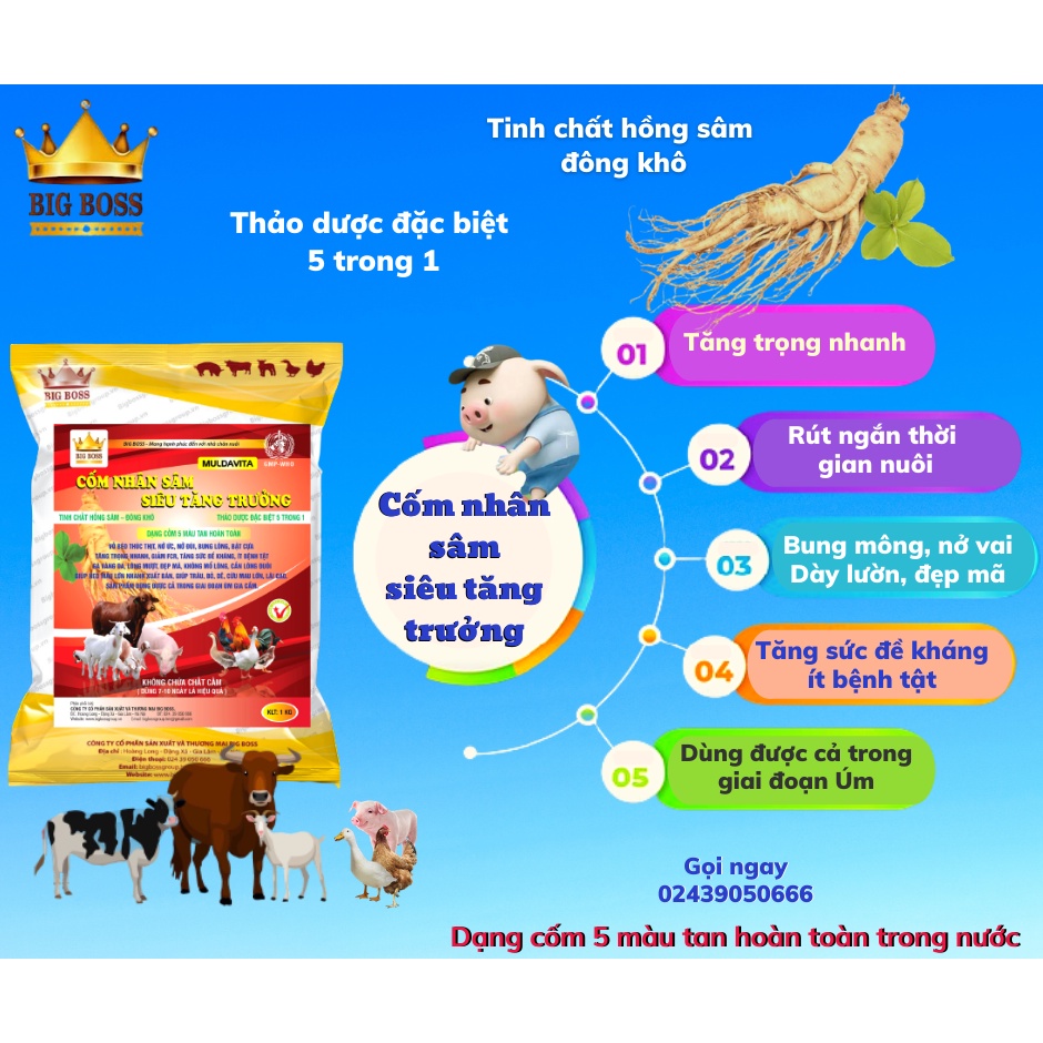 Cốm nhân sâm siêu tăng trưởng, men tiêu hóa kích thích đường ruột hấp thụ, tăng sức đề kháng cho vật nuôi túi 1kg
