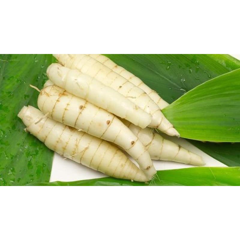 Bột Bình Tinh - An Farm Quảng Trị (1kg)