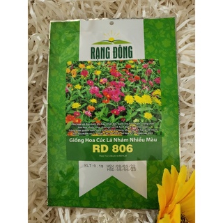 Hạt giống cúc lá nhám nhiều màu 806