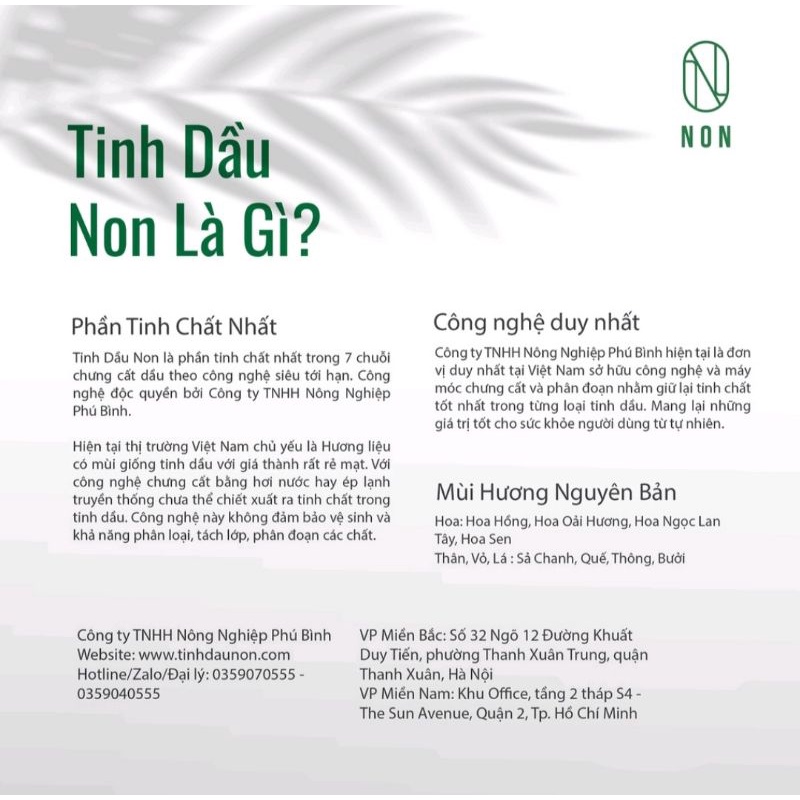 Tinh dầu Non Quế ⚡ Cao Cấp ⚡ Tinh dầu thiên nhiên nguyên chất chưng cất phân đoạn