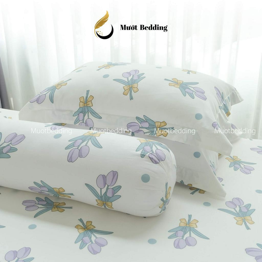 Bộ Ga giường/Drap 100% Cotton cao cấp nhiều họa tiết size 1m6x2m