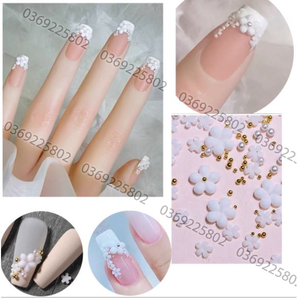 Hoa năm cánh TRỘN SIZE , KÈM SẴN BI