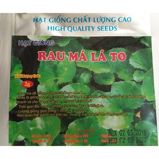 10 Gói  Rau Má Lá To  Hot Hot Hot