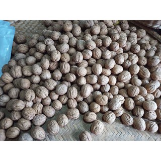 ÓC CHÓ CHILE NHÂN 500G