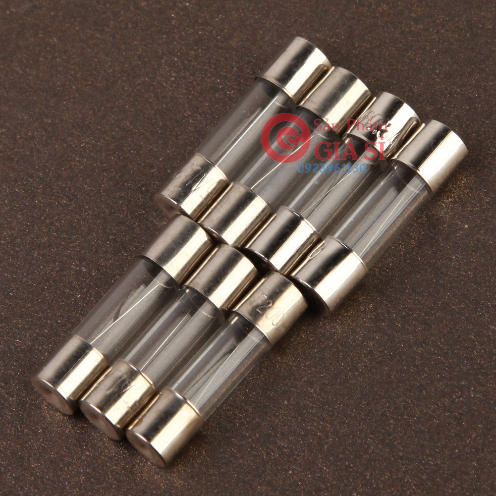 hộp 100 Cầu Chì Ống Thủy Tinh 5 * 20Mm ❤️freeship❤️