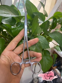 PANK RÚT KIM XĂM, PANH Y TẾ
