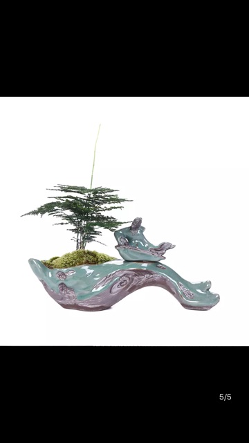 Chậu gốm bon sai mi ni