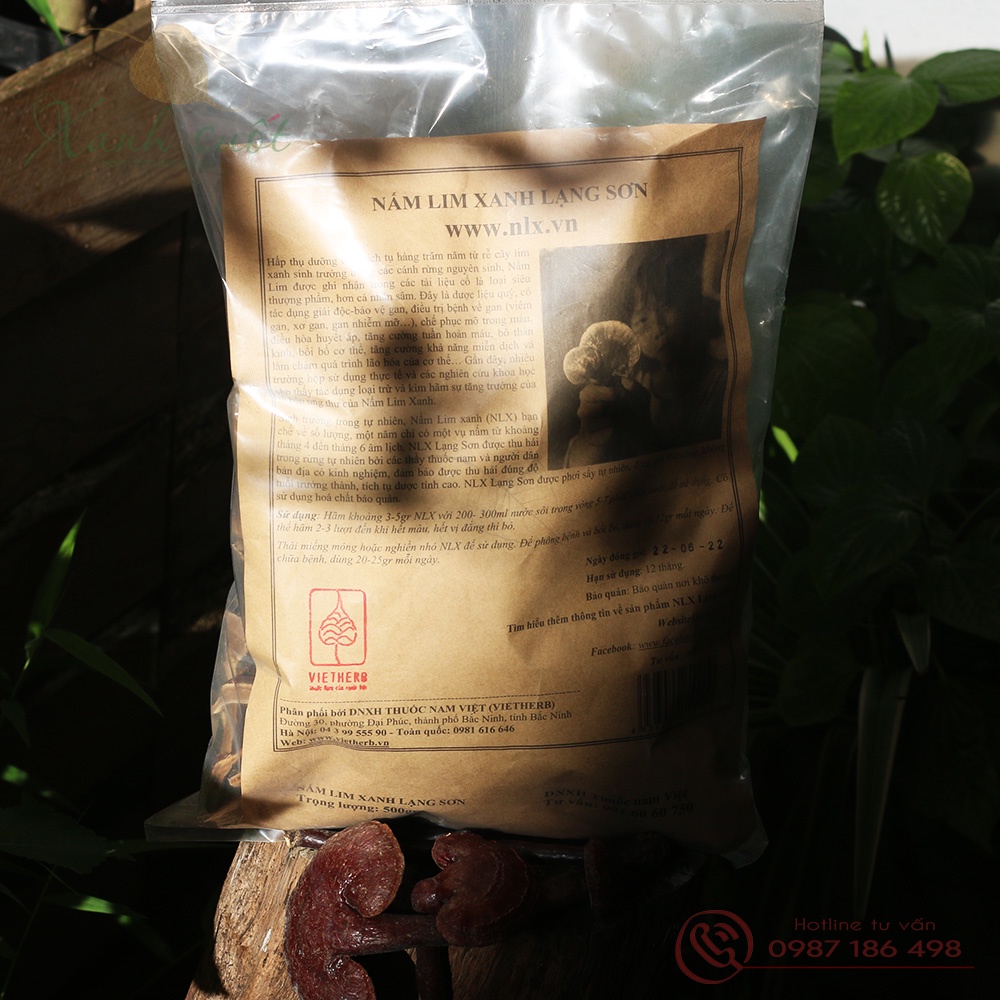 [Vietherb] Nấm Lim Xanh Rừng Lạng Sơn- 100% Nấm Tự Nhiên, Giúp Bồi Bổ, Tốt Cho Gan &amp; Sức Khỏe [Xanh Suốt]