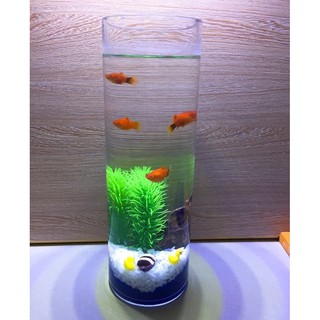 Bình thủy tinh trụ tròn 10x30cm