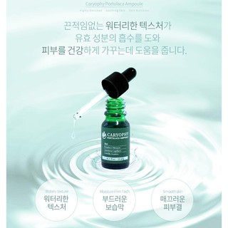 Serum Caryophy Portulaca Ampoule 10ml