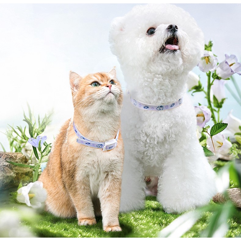 vòng cổ ngăn ngừa ve rận họa tiết dành cho chó mèo
