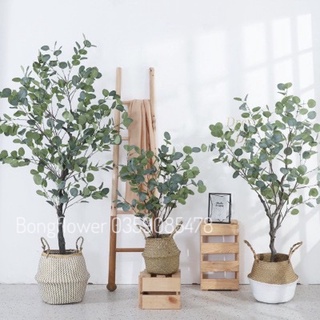 🍀 Cây giả cây lá bạch đàn giả decor siêu xinh - cây giả