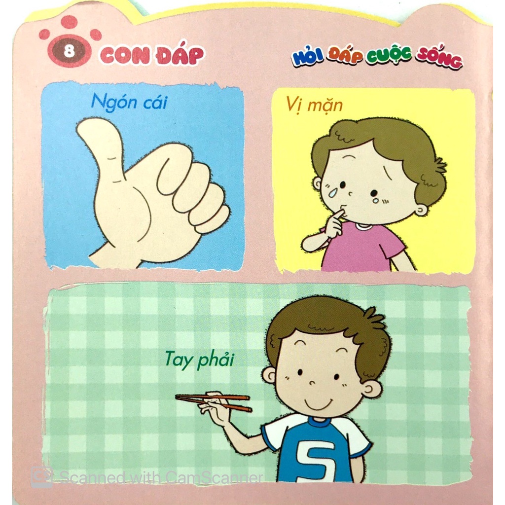 Sách - Mẹ hỏi con đáp ( 2- 6 Tuổi ) - Lẻ Tập - Đông A