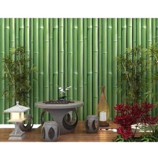 Giấy dán tường Trúc Xanh có sẵn keo 10m x 45cm