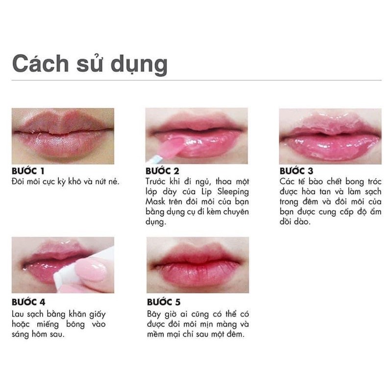 [ Full size ] Ngủ Môi Laneige Lip Sleeping Mask 20g (Chính Hãng) | BigBuy360 - bigbuy360.vn