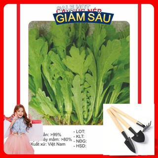Hạt giống Cải Cúc 20gram / Gói - Tặng Kèm Bộ Dụng Cụ Trồng Cây Mini