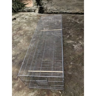 Lồng tập lực chim