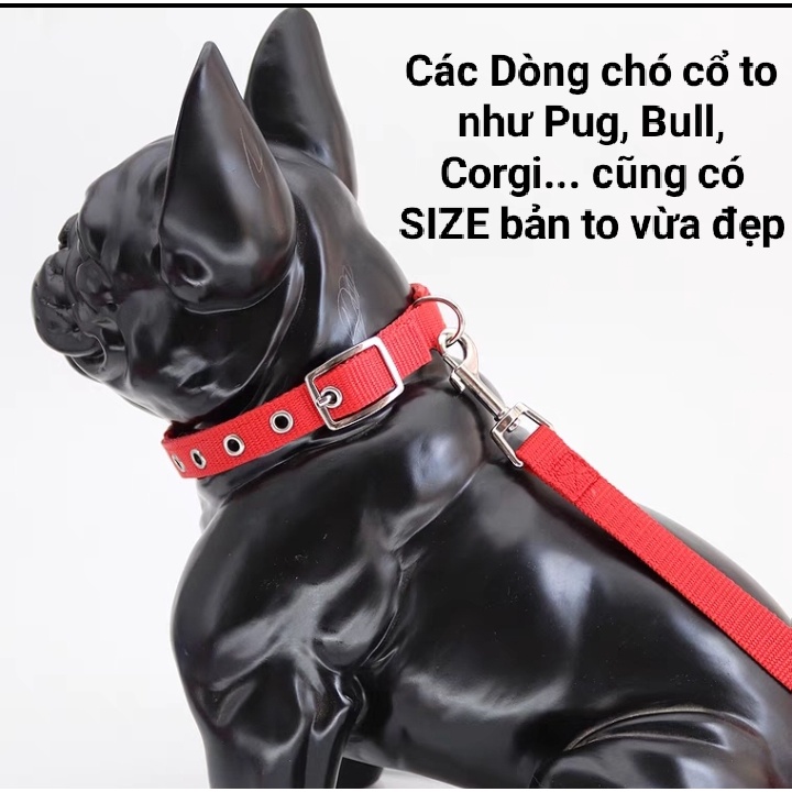 [Chuẩn như hình] Vòng cổ cho Chó Lót Đệm Da Cao Cấp (Vòng Cổ cho Chó To, Đai cổ cho Chó Siêu Lớn)