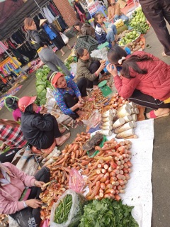 Mầm thảo quả tươi 2kg