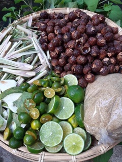 Bồ hòn loại 1
