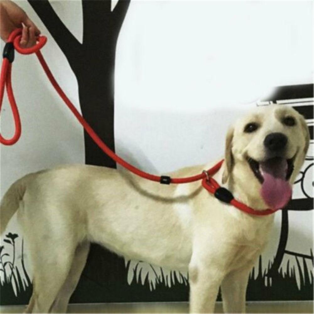 Dây Xích Thú Cưng Bằng Nylon Co Giãn Có Thể Điều Chỉnh