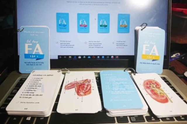 Combo 5 tập sổ tay FA// flashcard anatomy