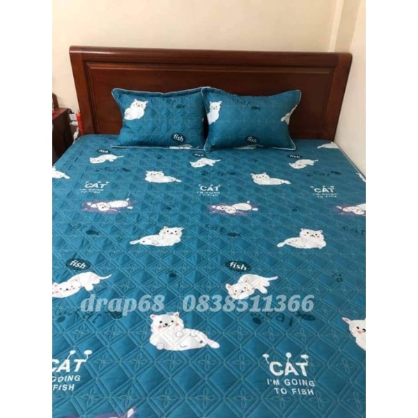 Ga trần bông ,ga chun trần bông ( 1m2) | BigBuy360 - bigbuy360.vn