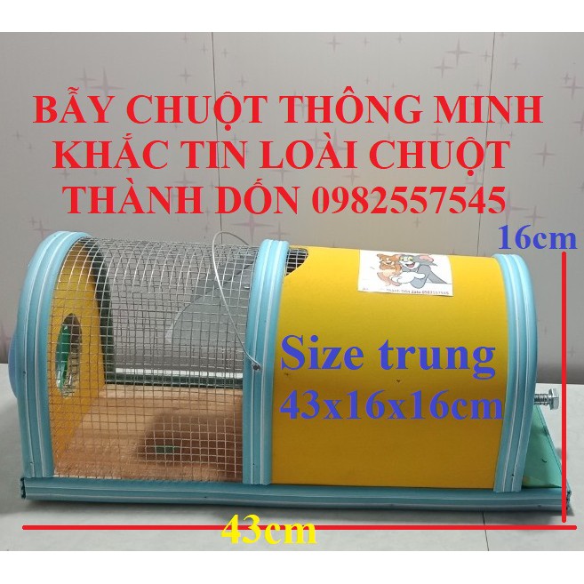 Combo 02 Bẫy chuột thông minh – size trung + nhỏ