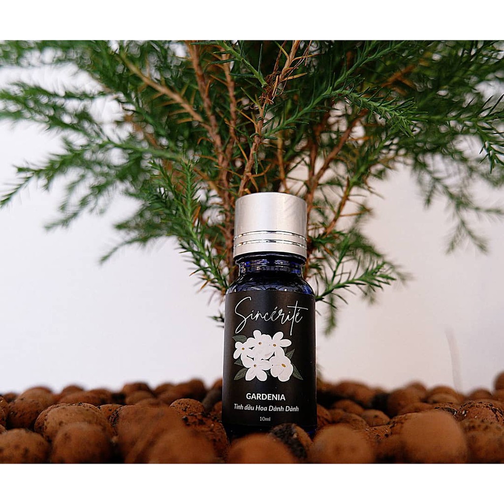 🌾Tinh Dầu Hoa Dành Dành🌾