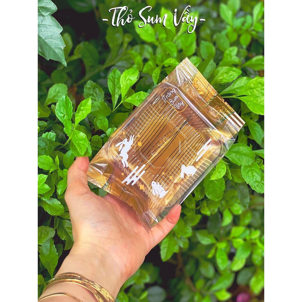 Túi đựng bánh trung thu 150g - 100c